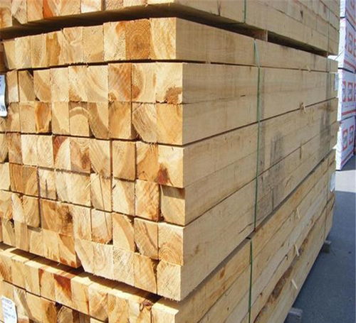 建筑木材哪家好,藁城建筑木材,博通木材